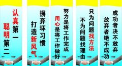 迈瑞医疗国际tvt体育股份有限公司(迈瑞医疗是国